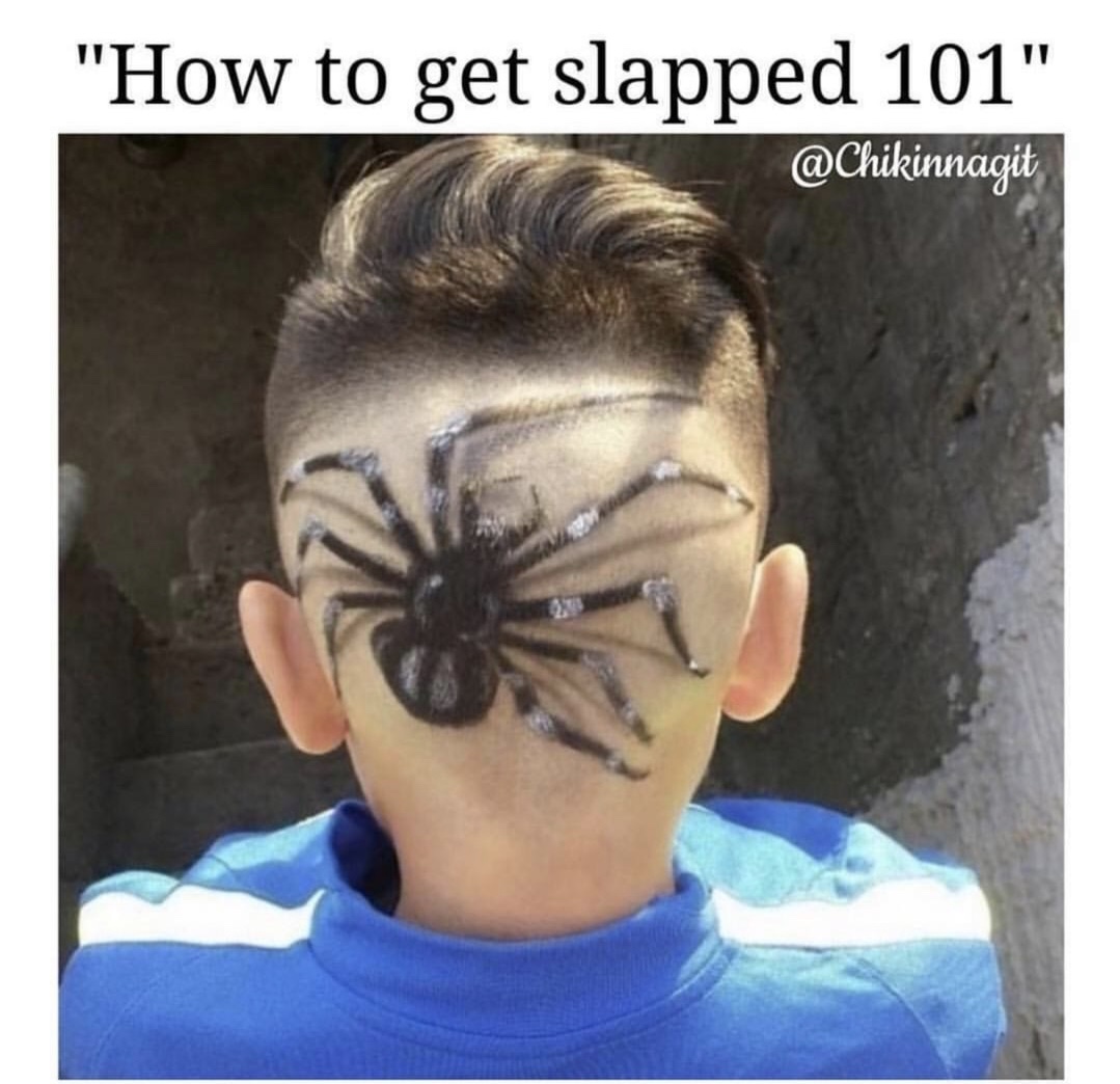 spider haircut - "How to get slapped 101"