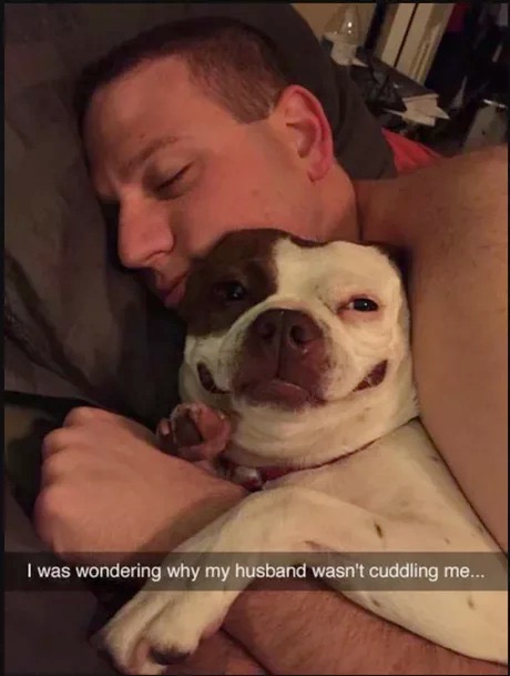 husband cuddling dog - I was wondering why my husband wasn't cuddling me...