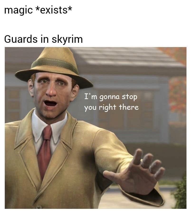 memes - ll stop you there - magic exists Guards in skyrim I'm gonna stop you right there