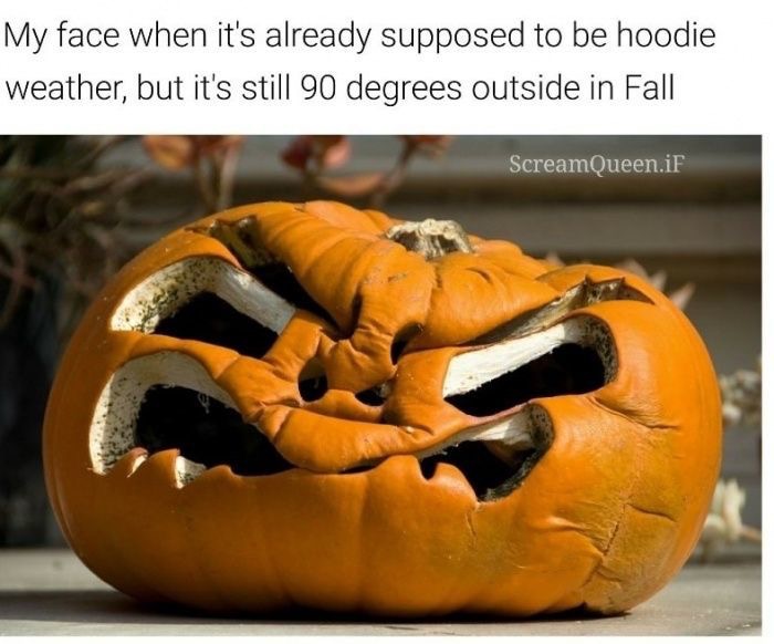 memes - just want fall weather - My face when it's already supposed to be hoodie weather, but it's still 90 degrees outside in Fall Scream Queen.if