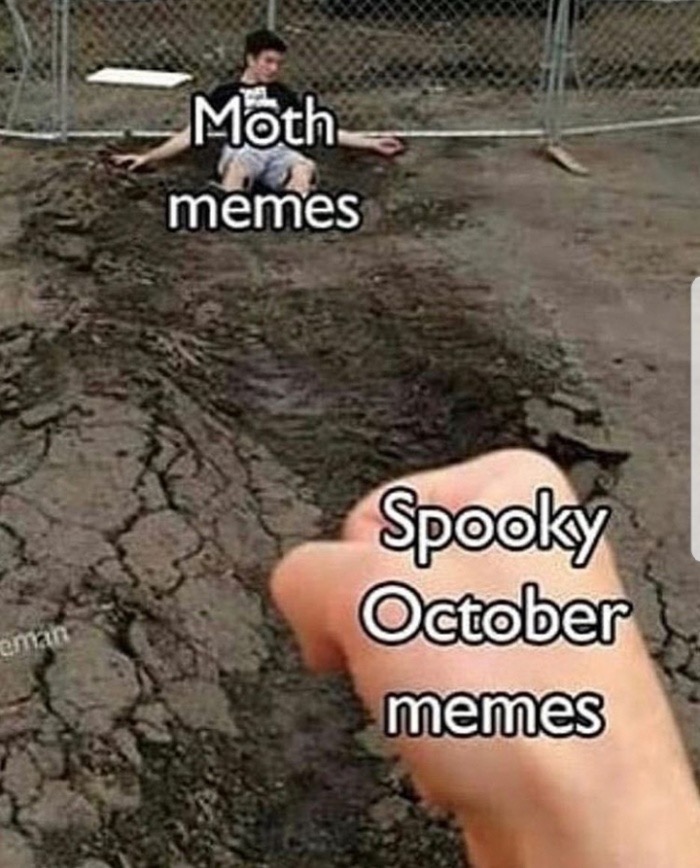 memes - moth memes vs spooky memes - Moth memes Spooky October memes