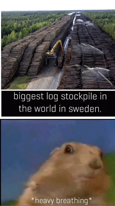 memes - overharvesting trees - biggest log stockpile in the world in sweden. heavy breathing
