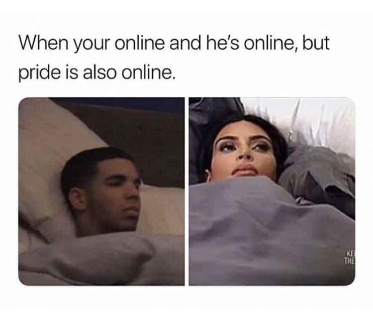 meme steam - you re online and he's online but pride is also online - When your online and he's online, but pride is also online.