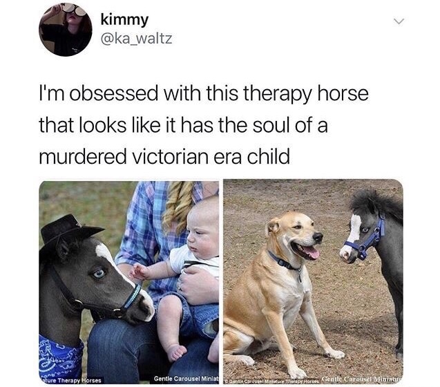 memes - victorian child meme - kimmy I'm obsessed with this therapy horse that looks it has the soul of a murdered victorian era child Sture Therapy Horses Gentle Carousel Miniat senile Carousel Miniatu