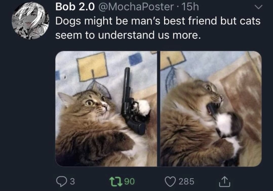 memes - mans best friend meme - Bob 2.0 15h Dogs might be man's best friend but cats seem to understand us more. 93 2290 285