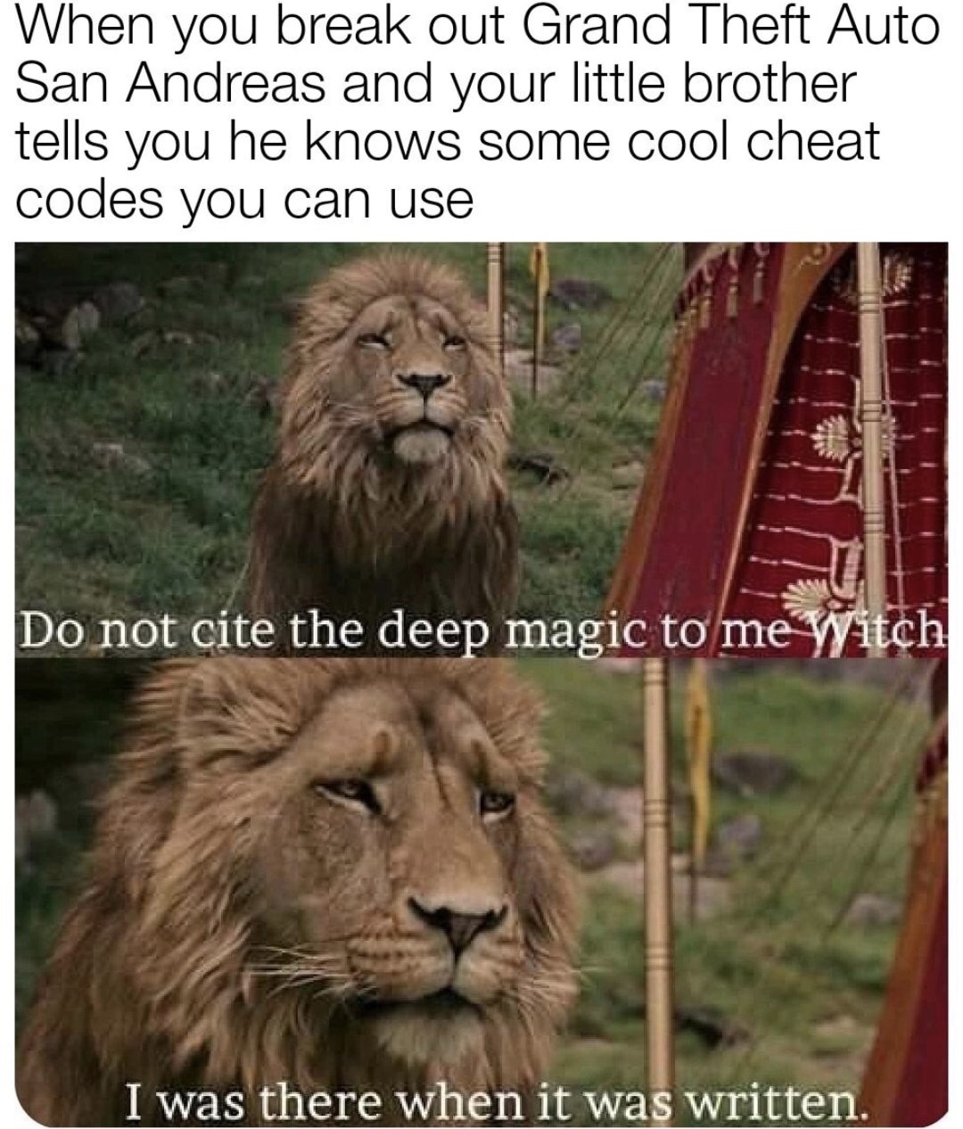 meme aslan memes - When you break out Grand Theft Auto San Andreas and your little brother tells you he knows some cool cheat codes you can use Do not cite the deep magic to me Witch I was there when it was written.