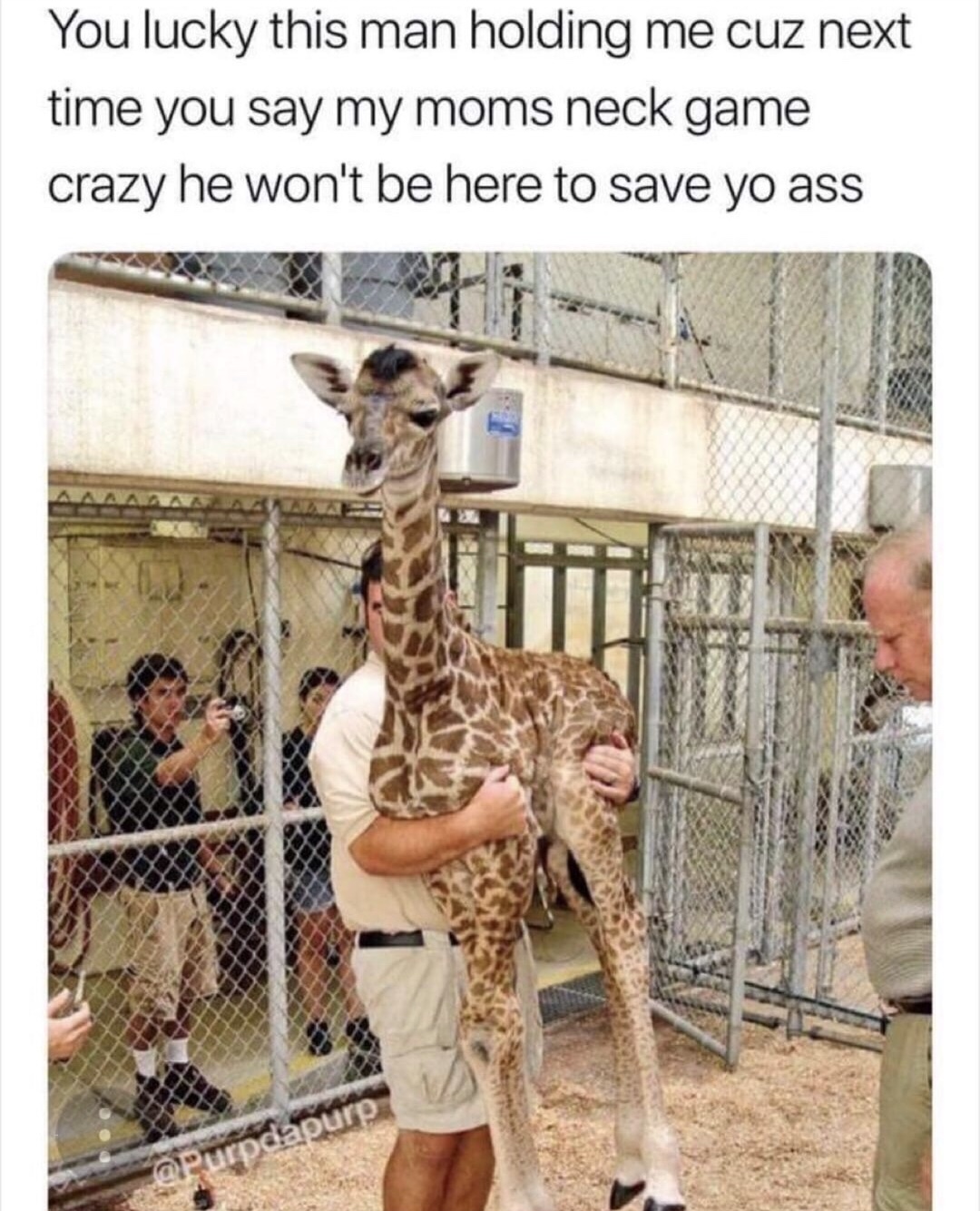 weighing baby giraffe - You lucky this man holding me cuz next time you say my moms neck game crazy he won't be here to save yo ass