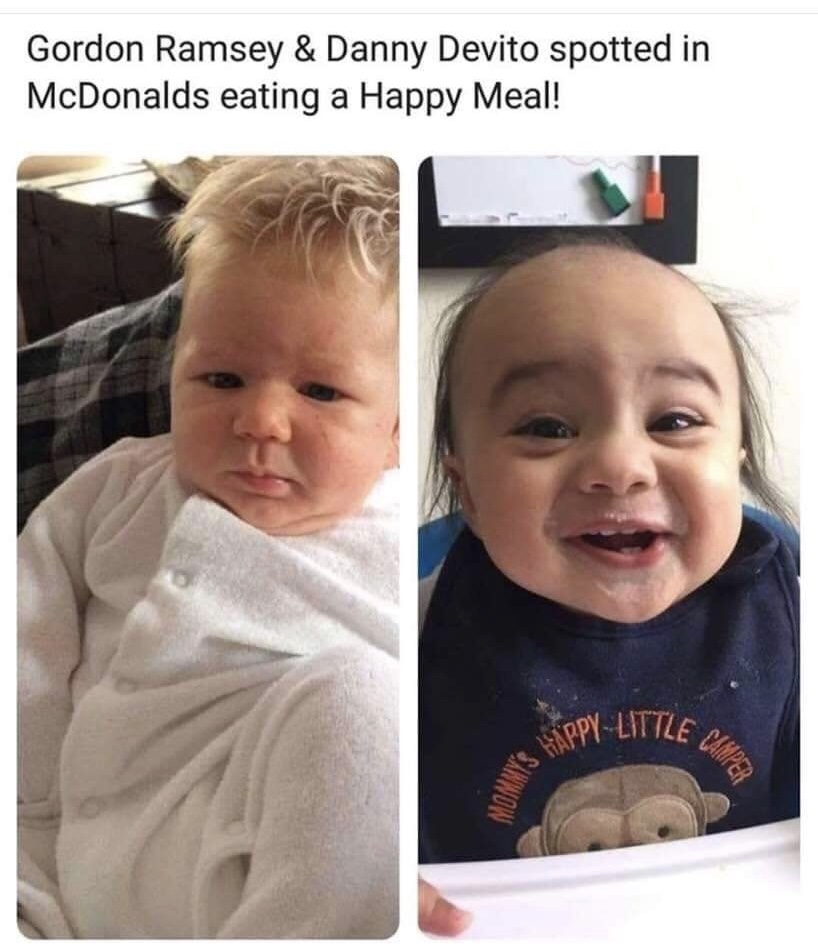 kid looks like danny devito - Gordon Ramsey & Danny Devito spotted in McDonalds eating a Happy Meal! PpyLittle &