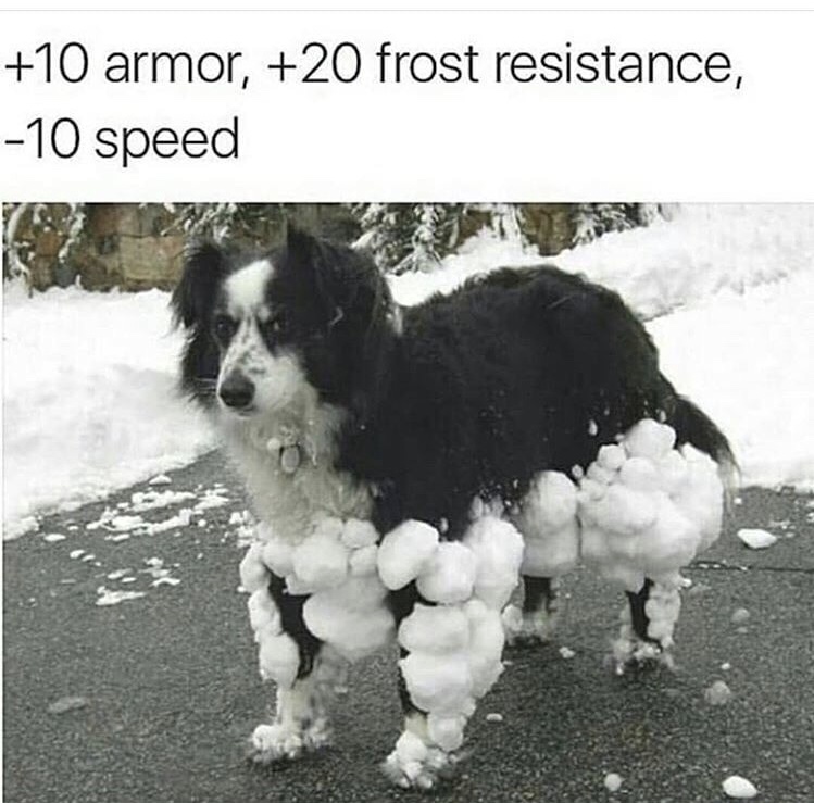 dog snow legs - 10 armor, 20 frost resistance, 10 speed