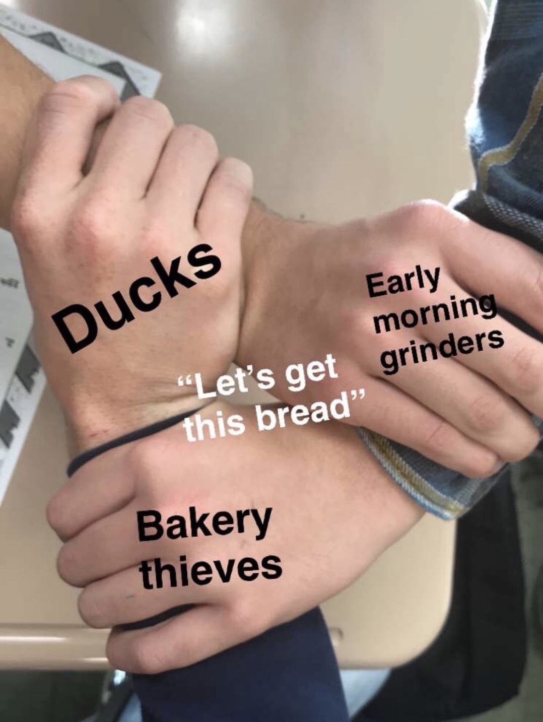Ducks Early morning grinders "Let's get this bread" Bakery thieves