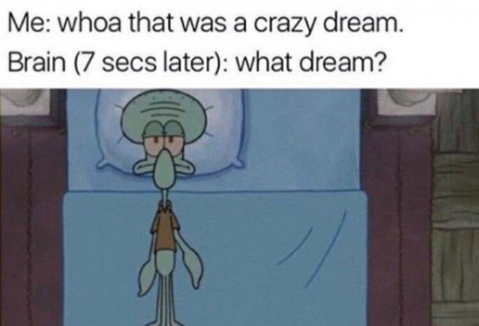 meme - crazy dream - Me whoa that was a crazy dream. Brain 7 secs later what dream?