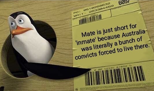 mate is short for inmate meme - 10208032 20530460 605 Mate is just short for 'inmate' because Australia was literally a bunch of convicts forced to live there.