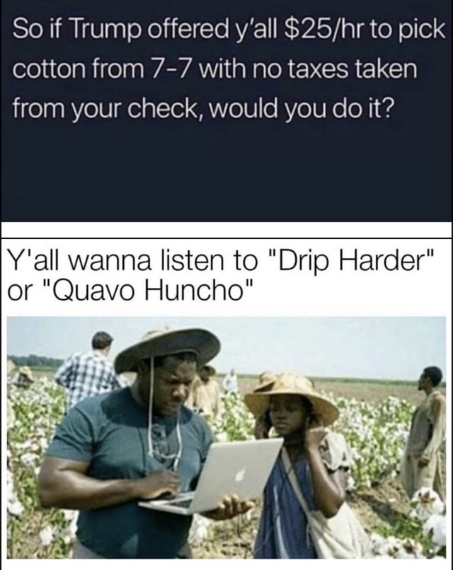 memes - ifslaverywasachoice meme - So if Trump offered y'all $25hr to pick cotton from 77 with no taxes taken from your check, would you do it? Y'all wanna listen to "Drip Harder" or "Quavo Huncho"