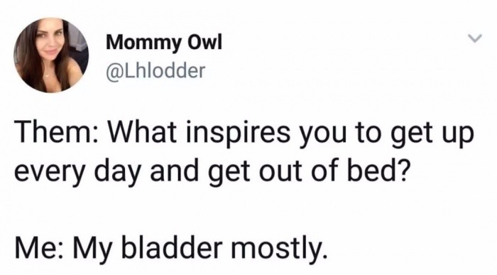 Internet meme - Mommy Owl Them What inspires you to get up every day and get out of bed? Me My bladder mostly.