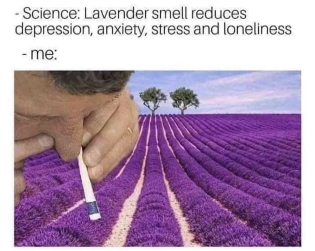 lavender stress meme - Science Lavender smell reduces depression, anxiety, stress and loneliness me