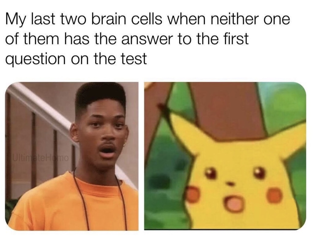 meme - imagine getting jumped by some squirtles - My last two brain cells when neither one of them has the answer to the first question on the test Ultimate Homo