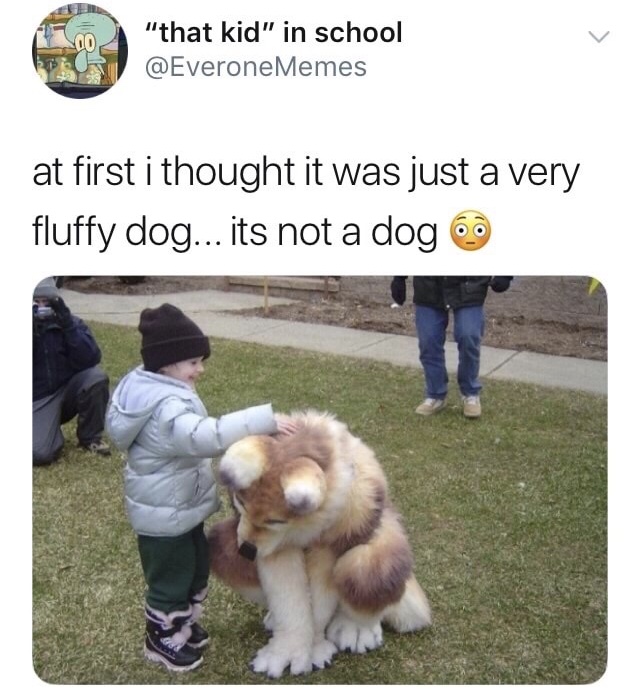 meme - kid petting furry - "that kid" in school at first i thought it was just a very fluffy dog... its not a dog