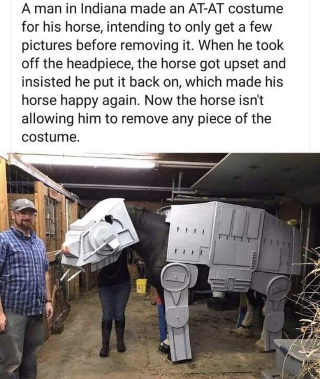 horse that didn't want to ever take off his AT AT costume