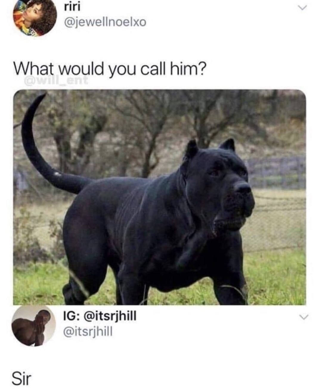 Do that you call sir because he looks so tough