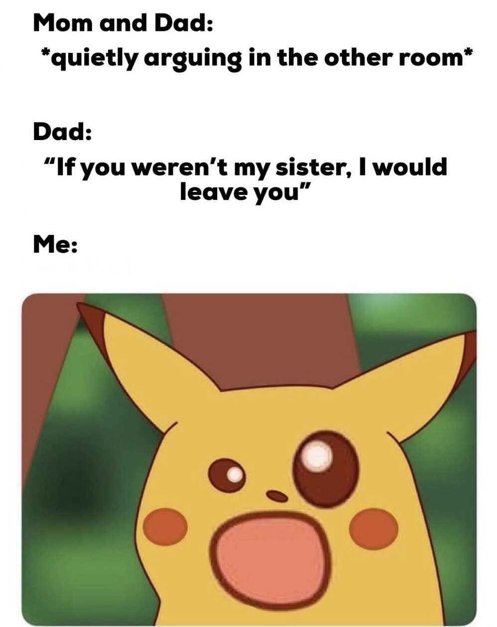 memes - pikachu memes - Mom and Dad quietly arguing in the other room Dad "If you weren't my sister, I would leave you" Me
