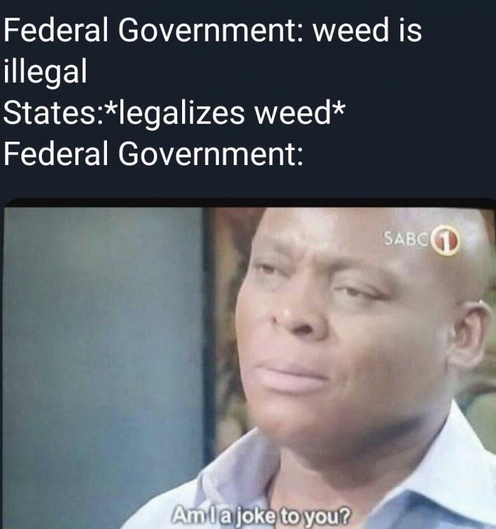 memes - r historymeme - Federal Government weed is illegal Stateslegalizes weed Federal Government Sabcd Amla joke to you?
