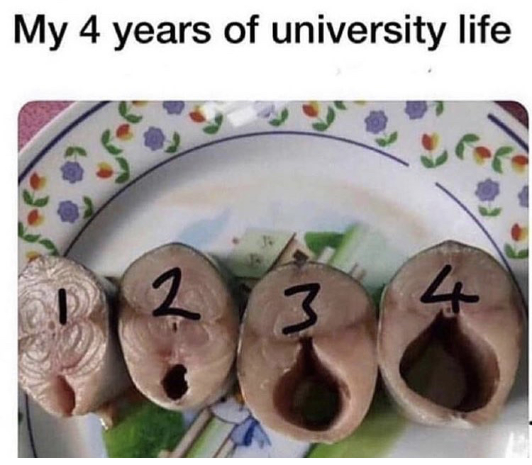 memes - my 4 years of university life - My 4 years of university life