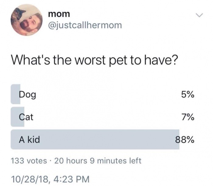 memes - worst pet to have - mom What's the worst pet to have? Dog 5% Cat 7% A kid 88% 133 votes 20 hours 9 minutes left 102818,
