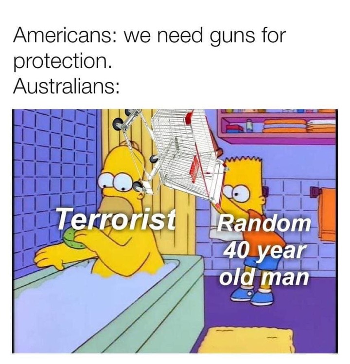 memes - homer meme - Americans we need guns for protection. Australians 1Terrorist Random 40 year old man