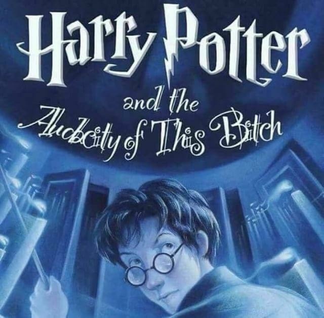 memes - harry potter and the audacity of this bitch - Harry Potter and the lobodity of Tas Bitch