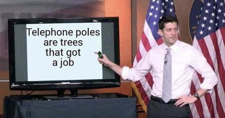 telephone poles are trees that got a job - Telephone poles are trees that got a job