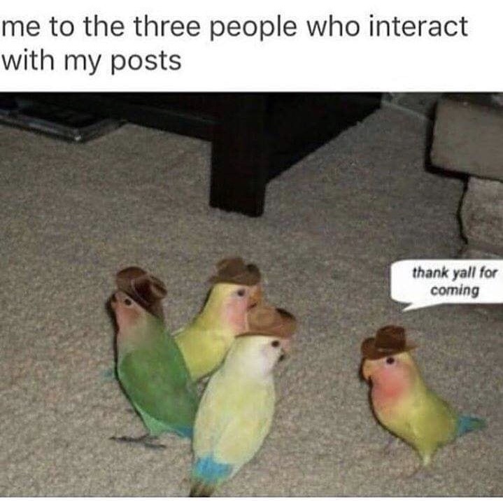 memes - me to the three people who interact - me to the three people who interact with my posts thank yall for coming