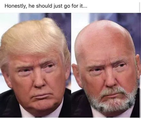 meme stream - trump shaved head - Honestly, he should just go for it...