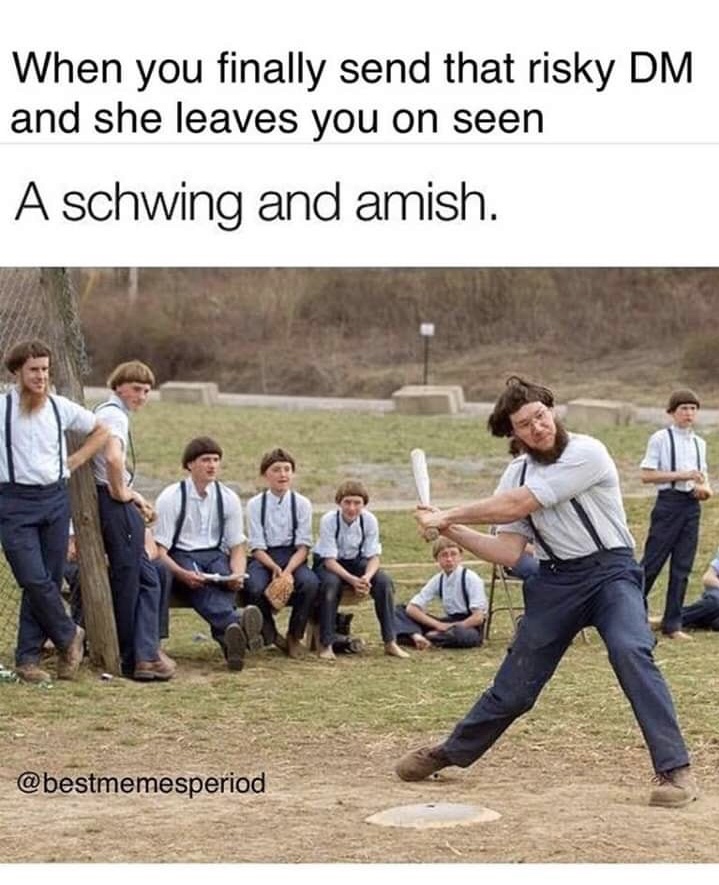 meme stream - schwing and amish meme - When you finally send that risky Dm and she leaves you on seen A schwing and amish.