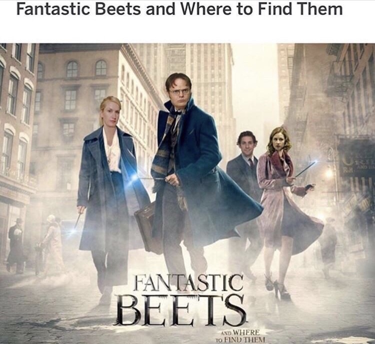 meme stream - film fantastic beasts and where to find them - Fantastic Beets and Where to Find Them Fantastic Beets And Where To Find Them