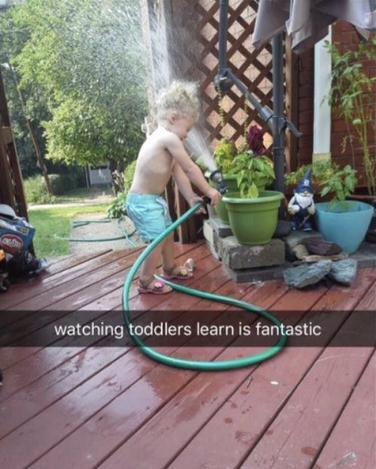 water plant meme - watching toddlers learn is fantastic
