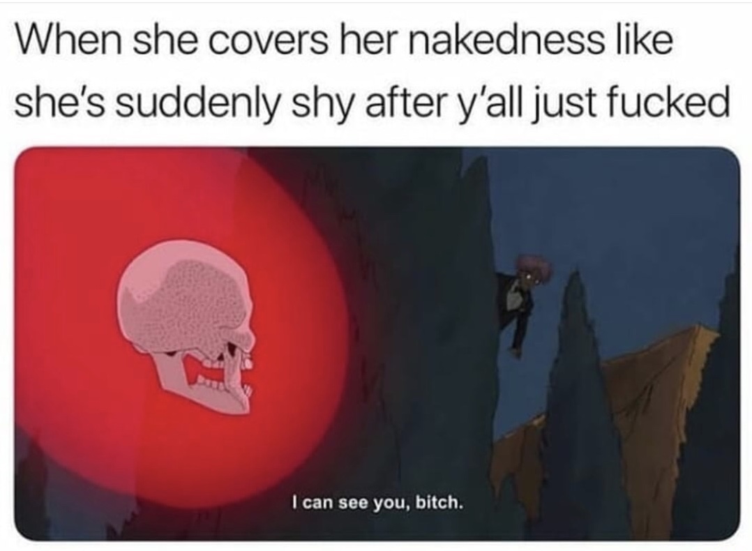 can see you bitch meme - When she covers her nakedness she's suddenly shy after y'all just fucked I can see you, bitch.