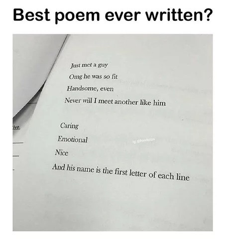 memes- best poem ever written - Best poem ever written? Just met a guy Omg he was so fit Handsome, even Never will I meet another him Caring Emotional Nice And his name is the first letter of each line