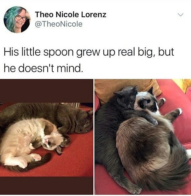 memes- guys being the little spoon - Theo Nicole Lorenz His little spoon grew up real big, but he doesn't mind.
