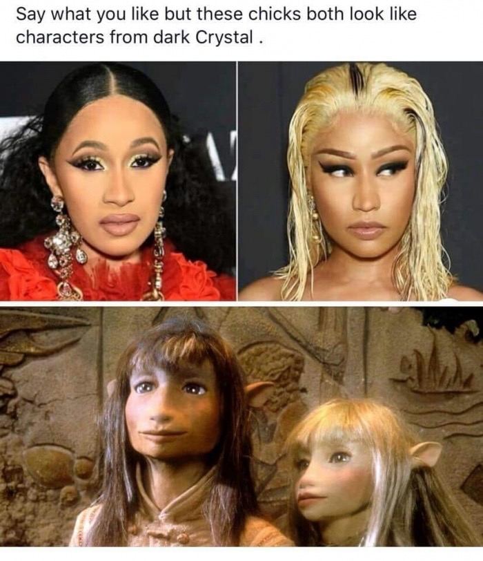 dark crystal characters - Say what you but these chicks both look characters from dark Crystal .