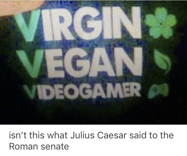 virgin vegan video gamer - Virgin Vegan Videogamer isn't this what Julius Caesar said to the Roman senate