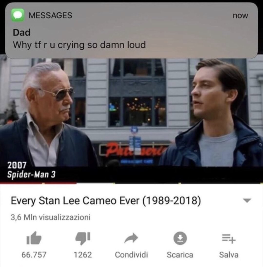 stan lee endgame meme - now Messages Dad Why tfr u crying so damn loud 2007 SpiderMan 3 Every Stan Lee Cameo Ever 19892018 3,6 MIn visualizzazioni 66.757 1262 Condividi Scarica Salva