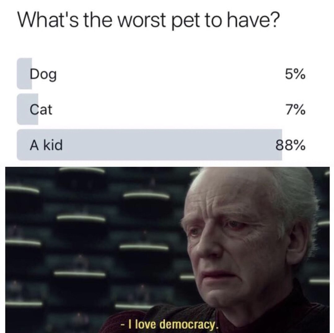 worst pet to have meme - What's the worst pet to have? Dog 5% Cat 7% A kid 88% I love democracy.