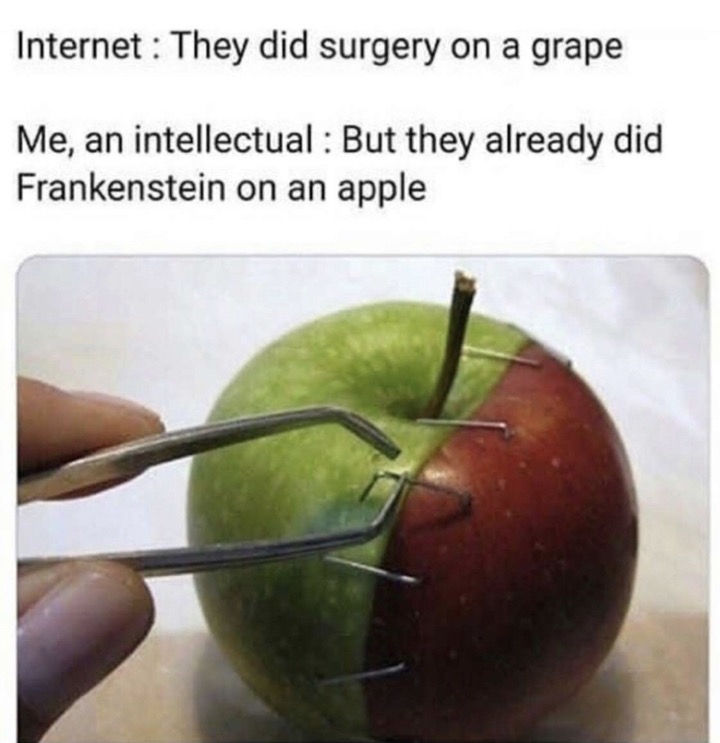dank meme about they did surgery on an apple - Internet They did surgery on a grape Me, an intellectual But they already did Frankenstein on an apple