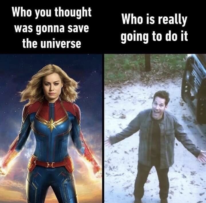 avengers endgame memes - Who you thought was gonna save the universe Who is really going to do it