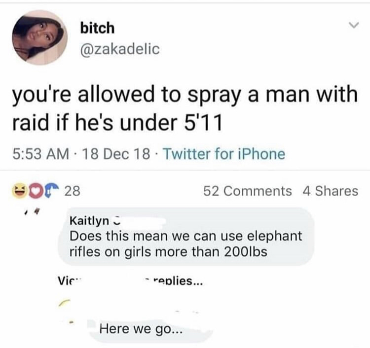 memes - document - bitch you're allowed to spray a man with raid if he's under 5'11 18 Dec 18 Twitter for iPhone or 28 52 4 Kaitlyn Does this mean we can use elephant rifles on girls more than 200lbs Vic replies... Here we go...