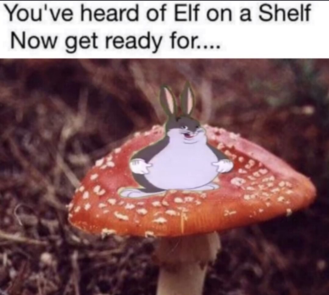 chungus on a fungus - You've heard of Elf on a Shelf Now get ready for....
