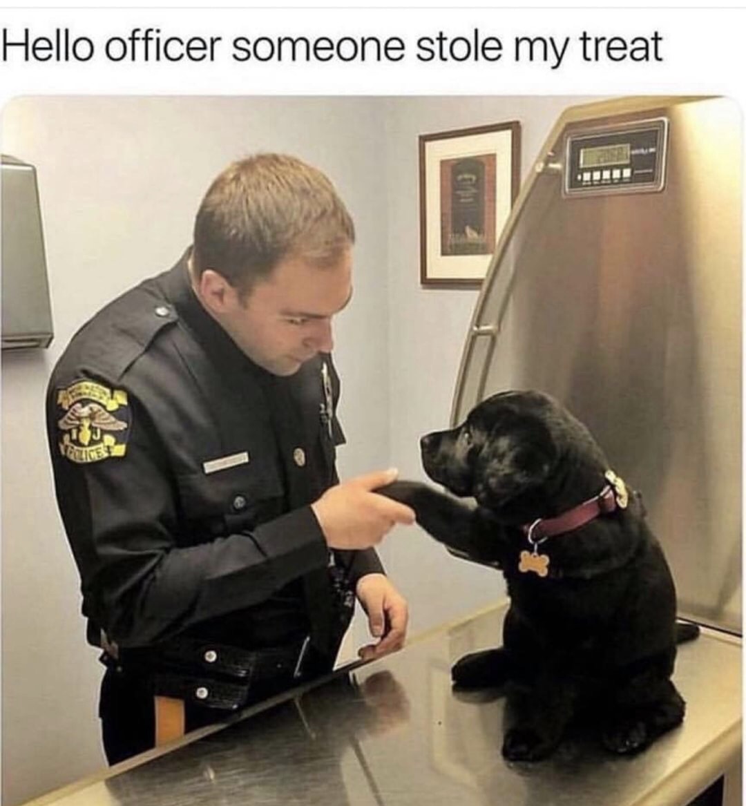 memes - hello officer someone stole my treat - Hello officer someone stole my treat