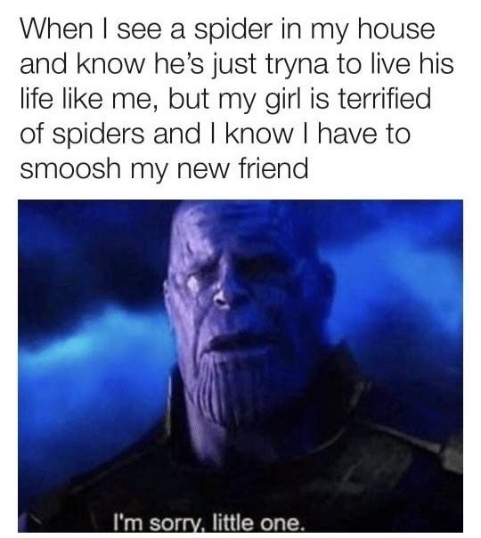 funny memes - look you give your meat - When I see a spider in my house and know he's just tryna to live his life me, but my girl is terrified of spiders and I know I have to smoosh my new friend I'm sorry, little one.