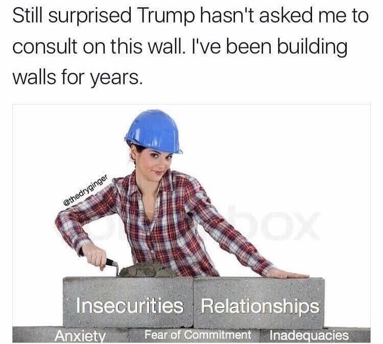 self deprecating memes - Still surprised Trump hasn't asked me to consult on this wall. I've been building walls for years. Insecurities Relationships Anxiety Fear of Commitment Inadequacies