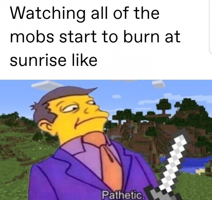meme dank pathetic memes - Watching all of the mobs start to burn at sunrise Pathetic.